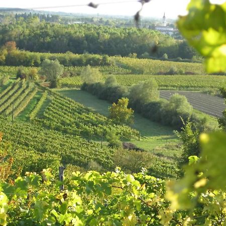 Capriva Del Friuli - Casa Roncusヴィラ エクステリア 写真