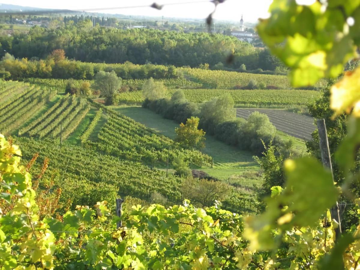 Capriva Del Friuli - Casa Roncusヴィラ エクステリア 写真